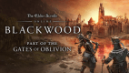 The Elder Scrolls Online: Blackwood Collector's Edition Upgrade