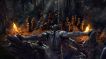 BUY The Elder Scrolls Online: Blackwood Collector's Edition Upgrade Elder Scrolls Online CD KEY
