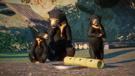 planet zoo southeast asia pack planet zoo southeast asia pack