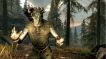 BUY The Elder Scrolls V: Skyrim - Dragonborn Steam CD KEY