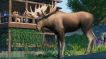 BUY Planet Zoo: North America Animal Pack Steam CD KEY