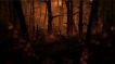 BUY Kholat Steam CD KEY