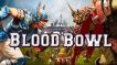 BUY Blood Bowl 2 Steam CD KEY