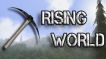 BUY Rising World Steam CD KEY