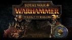 Total War: Warhammer - Blood for The Blood God