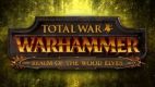 Total War: Warhammer - Blood for The Blood God