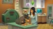 BUY The Sims 4 Hundar & Katter (Cats & Dogs) Origin CD KEY