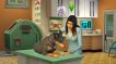 BUY The Sims 4 Hundar & Katter (Cats & Dogs) EA Origin CD KEY